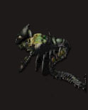 虹魔蝎卫